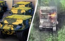 Другий відомий випадок: ЗСУ знищили дуже рідкісного "звіра" росіян (відео)