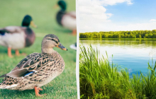 Эти вещи сегодня надевать запрещено: какой праздник 27 июня, приметы и запреты дня