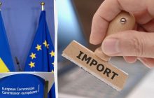 ЄС екстрено введе мита на імпорт з України ще двох видів агропродукції, – FT