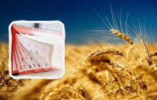 Свята в липні 2024 і вихідні дні: що відзначаємо і як відпочиваємо в другому місяці літа