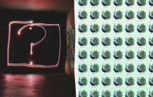 Треба знайти дивного павича серед сотні інших за 10 секунд: надскладна головоломка