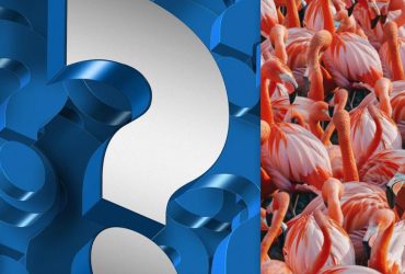 Кожен бачить фламінго, а треба знайти пелікана за 8 секунд у складній оптичній ілюзії