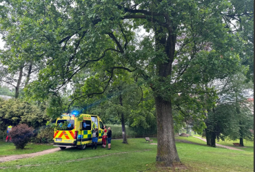 У Чехії блискавка вдарила у місце святкування Дня захисту дітей: багато постраждалих