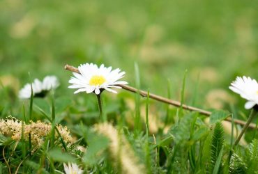 До України йде похолодання: синоптик розказала, де та коли знизиться температура