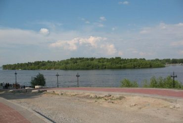 Киевские активисты нашли 100-летние деревья на Оболонском острове, который насыпали всего 40 лет назад, – эксперт