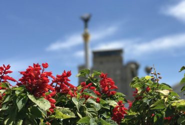 Сьогодні погода в Києві зміниться