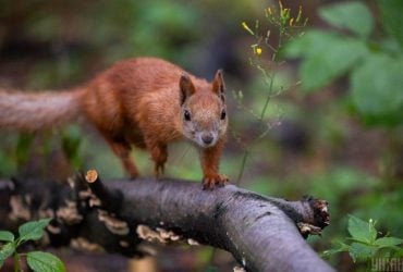 Синоптики заговорили про похолодання в Україні: коли чекати