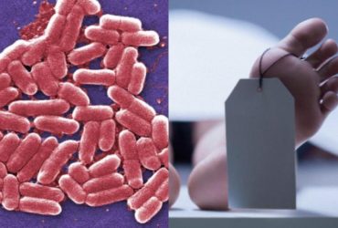 В Японії поширюються м'ясоїдні бактерії, здатні вбити за два дні, - Bloomberg