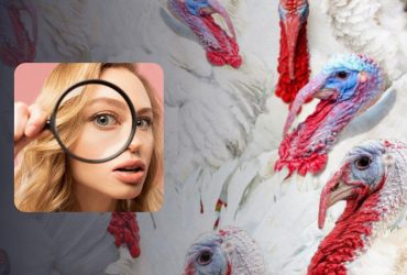 Королівська головоломка: треба знайти фламінго серед білих індиків