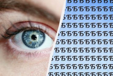 Треба знайти дивну букву серед сотні Б за 6 секунд: захоплива оптична ілюзія