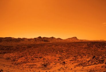 Ученые обнаружили растение, способное выжить на Марсе, - The Guardian