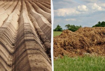 Перегной, биогумус или компост: что лучше для огорода