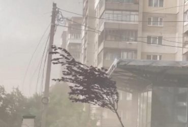 Повалені дерева, пошкоджені дахи: Львів накрила потужна гроза (відео)