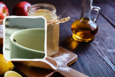 Копійчаний продукт позбавить від мошок назавжди: 4 швидкі методи боротьби