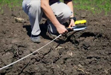 В Україні прискорюють відновлення пошкоджених війною сільгоспземель