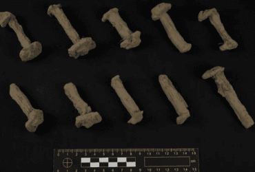 В Норвегии посреди поля нашли железные заклепки, указывающие на захоронение корабля эпохи викингов