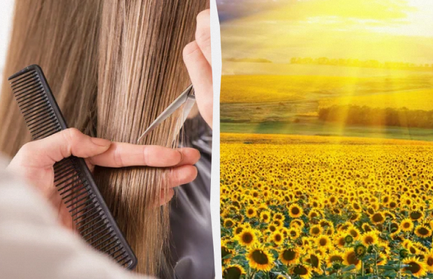 Заборонено стригти волосся і нігті: яке свято 2 червня, прикмети і заборони дня