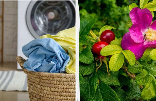 Не можна приймати ванну і прати речі: яке свято 6 червня, прикмети і заборони дня