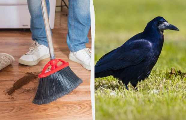 Не можна підмітати і спілкуватися з подругами: яке свято 9 червня, прикмети і заборони дня