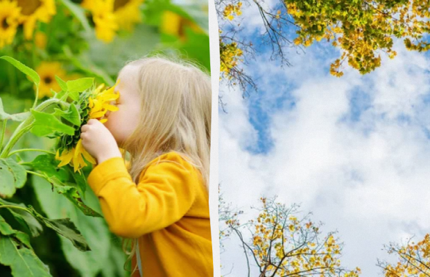 Сьогодні не можна лягати спати вдень: яке свято 10 червня, прикмети і заборони дня