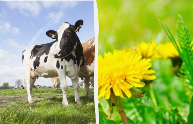 Сьогодні не можна нікуди їздити: яке свято 11 червня, прикмети і заборони дня