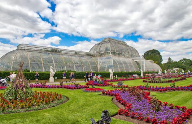 Для любителів зелені: названо країни світу з найкращими ботсадами та парками