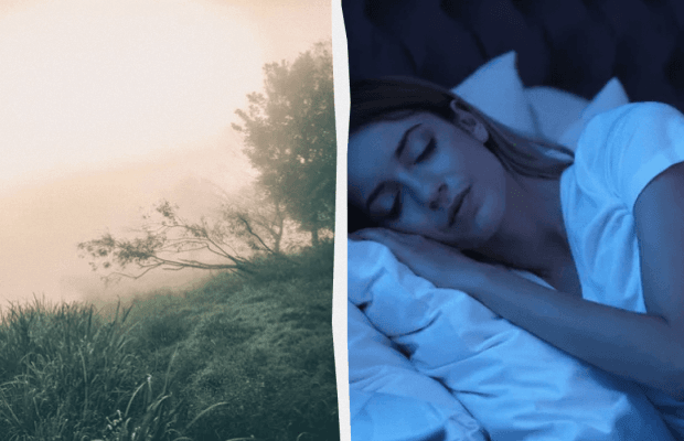 Сон сьогодні розповість про майбутнє: яке свято 18 червня, прикмети і заборони дня