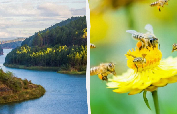 Не можна говорити "Я кохаю тебе": яке свято 20 червня, прикмети і заборони дня