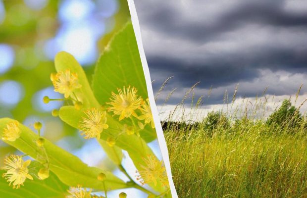 Народне свято 21 червня: категорично заборонено хвалитися і спізнюватися