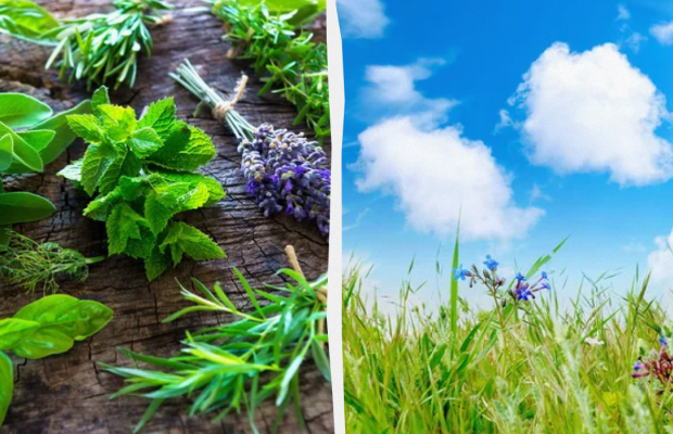 Не можна вдягати темний одяг: яке свято 22 червня, прикмети і заборони дня