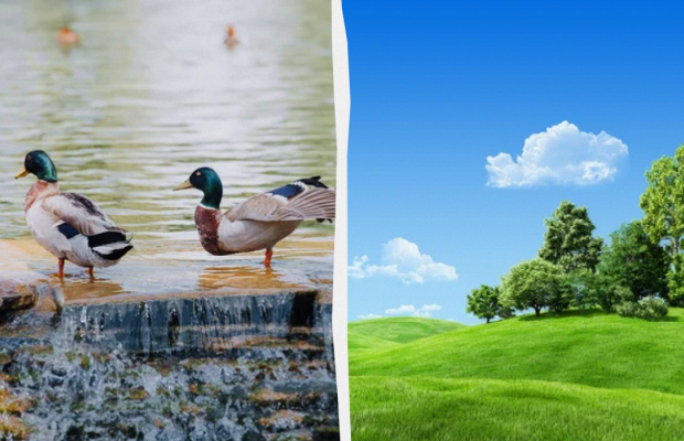 Не можна залишати ложку на столі: яке свято 23 червня, прикмети і заборони дня