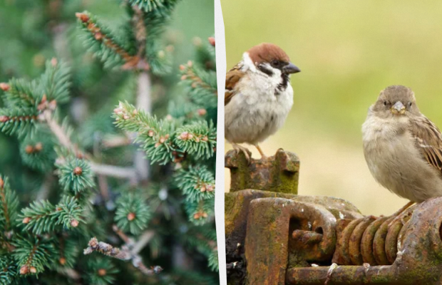 Обов'язково потрібно з'їсти рибу: яке свято 25 червня, прикмети та заборони дня