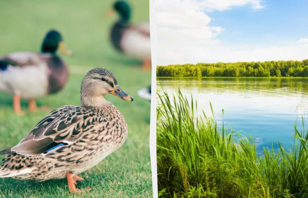 Ці речі сьогодні вдягати заборонено: яке свято 27 червня, прикмети і заборони дня