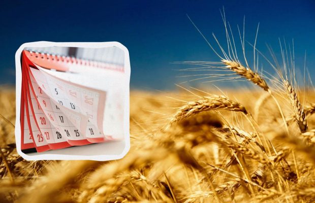 Свята в липні 2024 і вихідні дні: що відзначаємо і як відпочиваємо в другому місяці літа