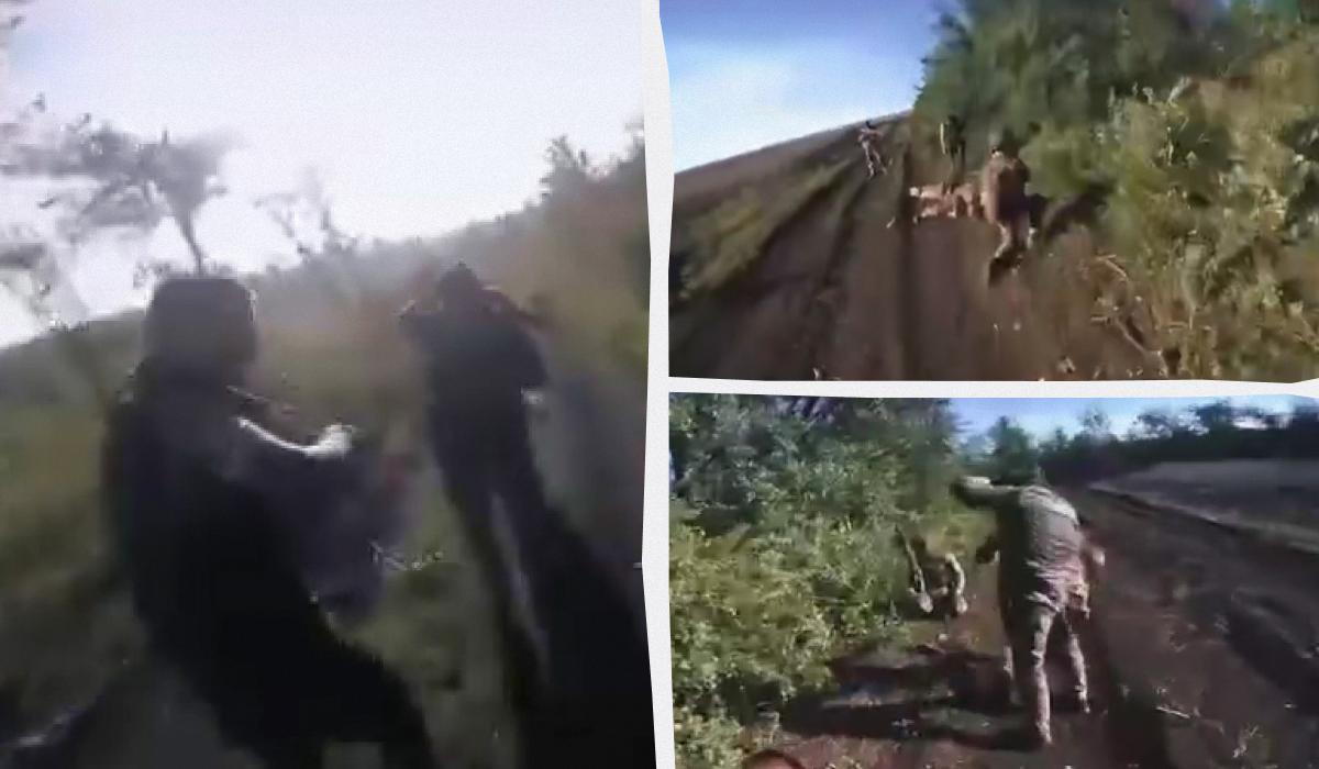 Кілька десятків окупантів здалися в полон / колаж УНІАН, скріншоти з відео Кілька десятків окупантів здалися в полон / колаж УНІАН, скріншоти з відео