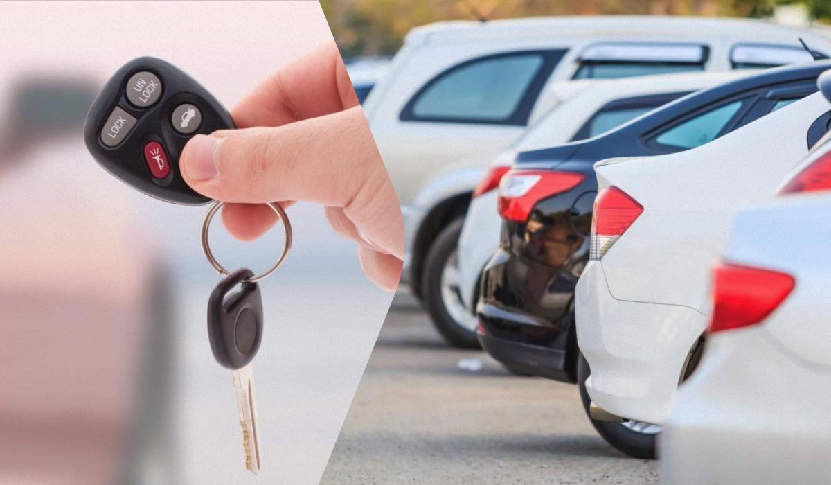 Наибольшая доля в этом сегменте авторынка принадлежала бензиновым авто / коллаж УНИАН, фото ua.depositphotos.com