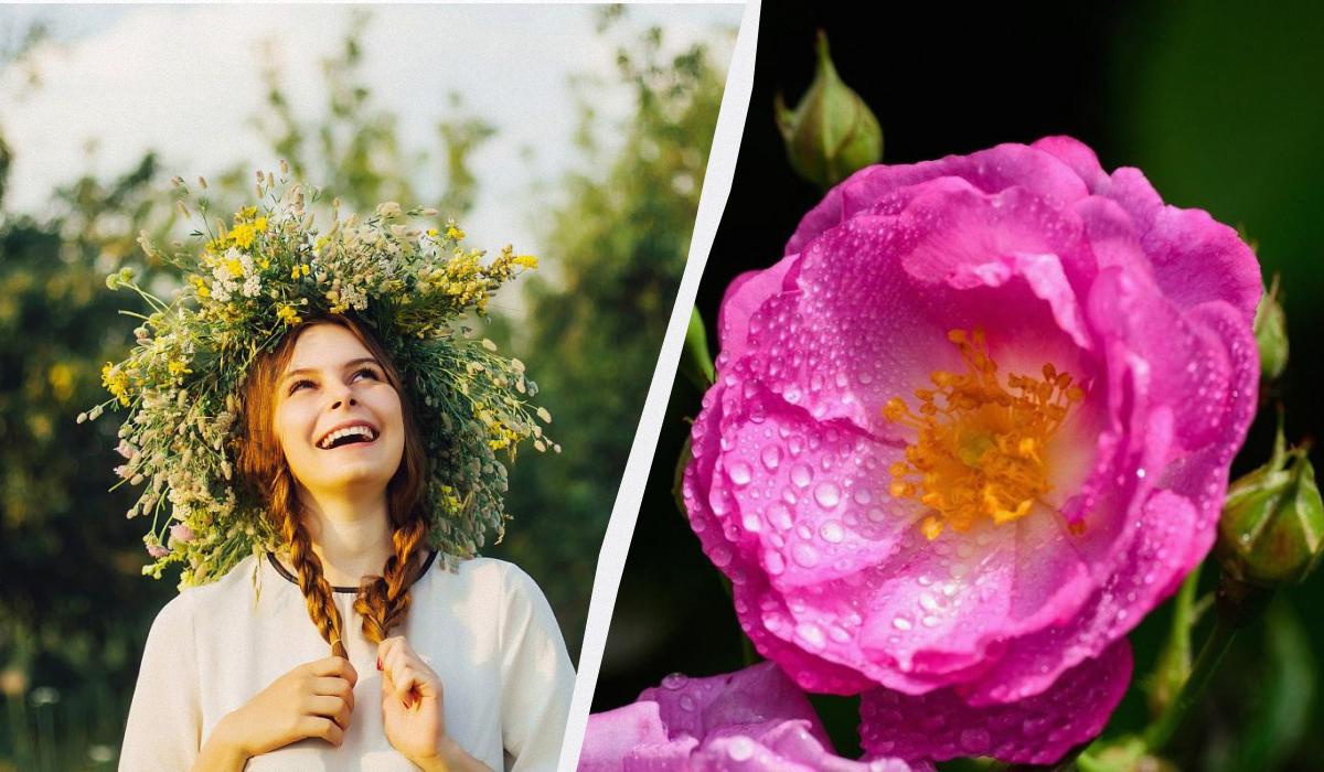 Какой сегодня праздник 6 июля / коллаж УНИАН, фото ua.depositphotos.com, pixabay.com