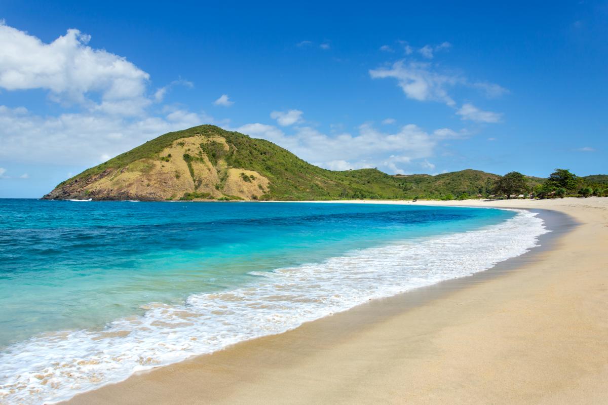 Наскальное изображение руки в Индонезии опровергло одно из популярных научных утверждений Наскальное изображение руки в Индонезии опровергло одно из популярных научных утверждений