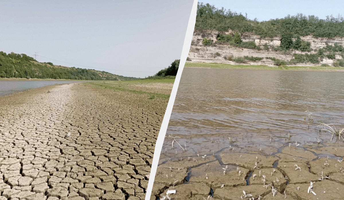 Оголена земля, яка була дном Дністра, висохла і потріскалась / колаж УНІАН, фото Галини Олійник