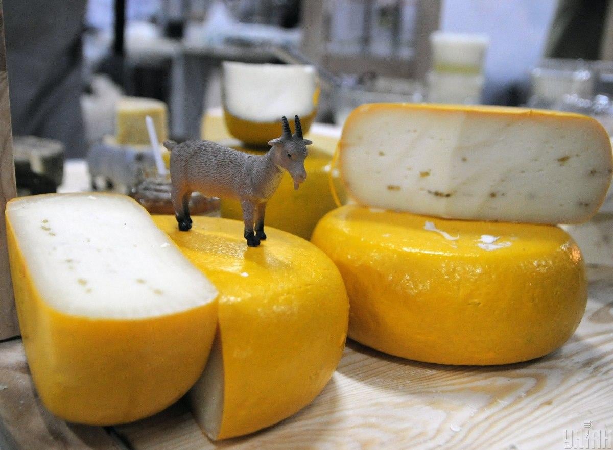 Криза набирає обертів. Чи втратить Україна вітчизняний сир