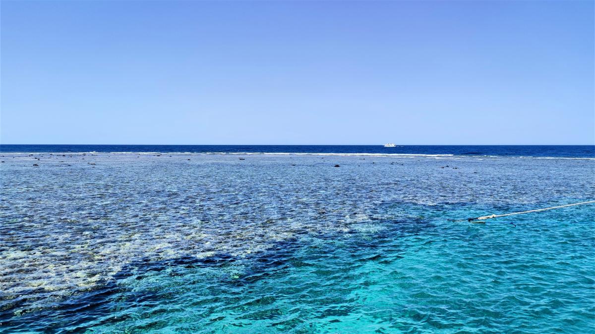 Учені стверджують, що життя зародилося на Землі в глибокому морі / фото Марина Григоренко