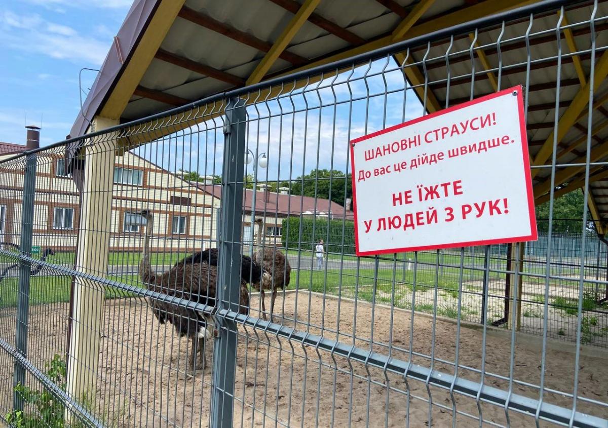 Туристы снова могут посещать "Межигорье" / фото УНИАН, Никита Шендеровский Туристы снова могут посещать "Межигорье" / фото УНИАН, Никита Шендеровский