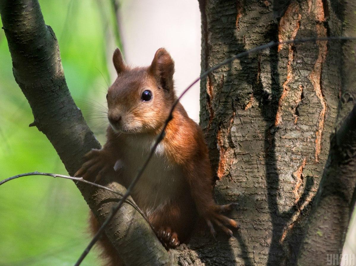 На заході України 25 липня температура знизиться / фото УНІАН