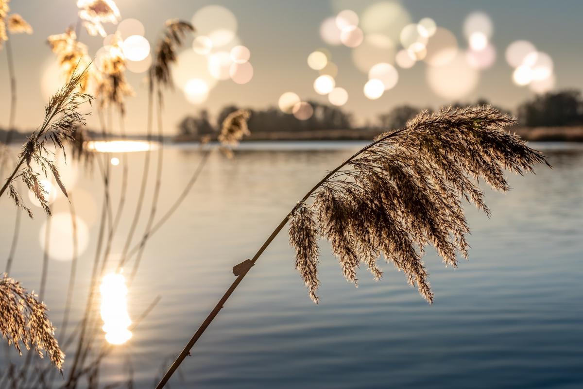 21 липня - прикмети сьогоднішнього дня / pixabay.com 21 липня - прикмети сьогоднішнього дня / pixabay.com
