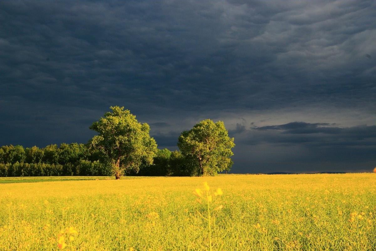 На заході України сьогодні будуть грози / фото Rikoko741 / Pixabay На заході України сьогодні будуть грози / фото Rikoko741 / Pixabay
