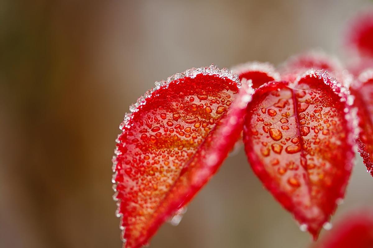 Прикмети на сьогодні Прикмети на сьогодні