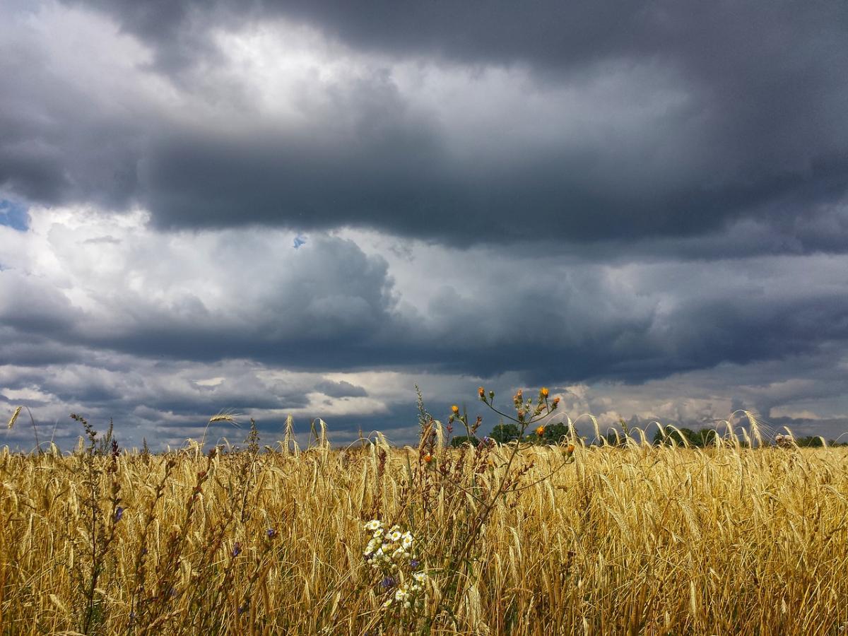 В Харькове сегодня будет гроза / фото Pixabay В Харькове сегодня будет гроза / фото Pixabay