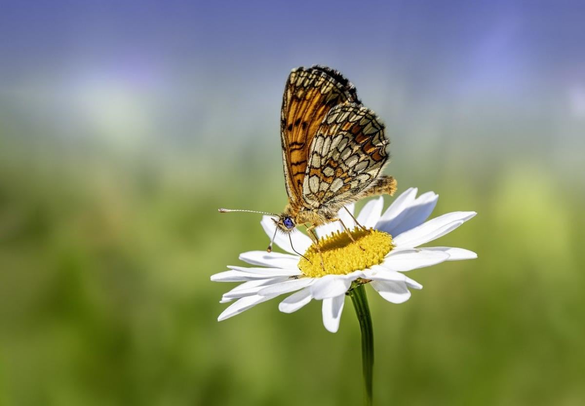 https://images.unian.net/photos/2024_07/1721571129-8872.jpg?r=425882