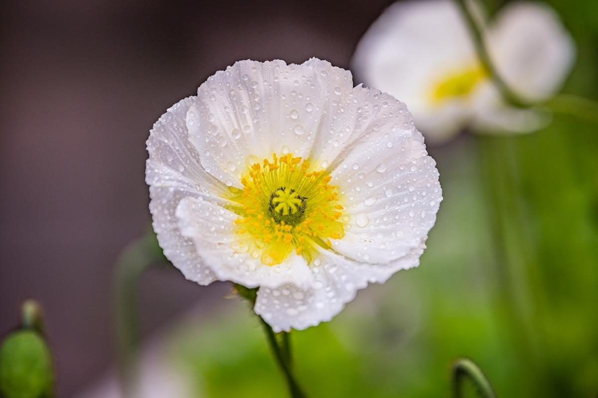 3 квітня погода в Украині почне стабілізуватись / фото Pixabay 3 квітня погода в Украині почне стабілізуватись / фото Pixabay