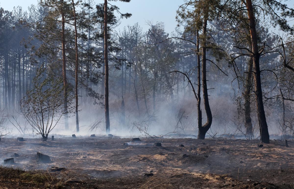 Крім того, Росія продовжує підвищувати видобуток корисних копалин / фото ua.depositphotos.com Крім того, Росія продовжує підвищувати видобуток корисних копалин / фото ua.depositphotos.com